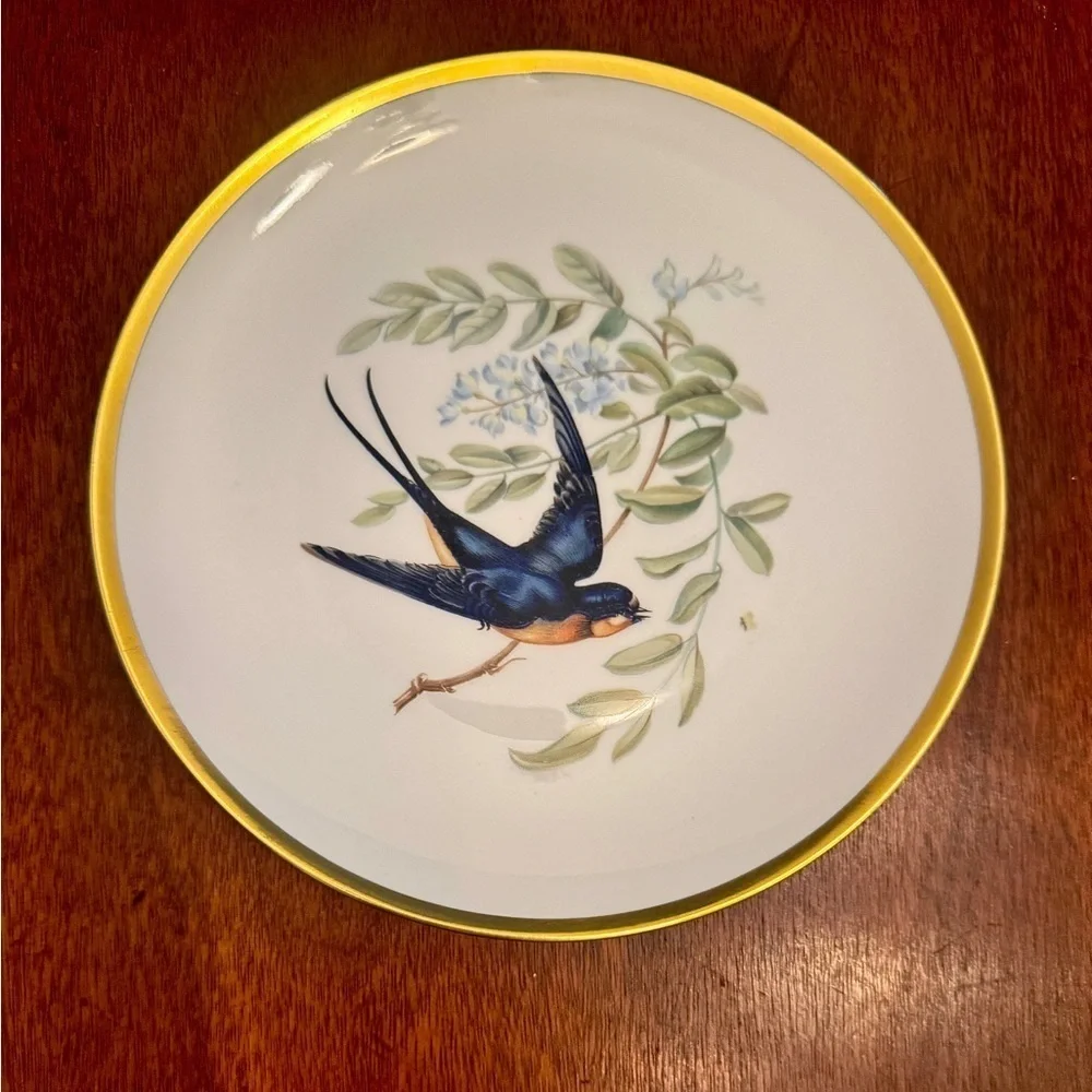 Hutschenreuther Pasco Bone China Audubon Bird Plates (8”)